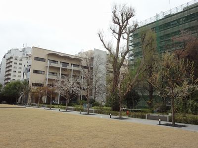 日本女子大④