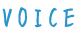 voice