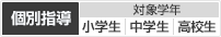 ［個別指導］対象額年：小学生、中学生、高校生