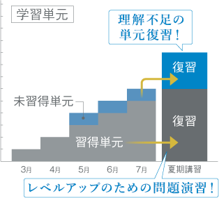 ソフィアの復習