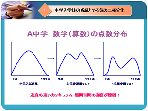 配布資料