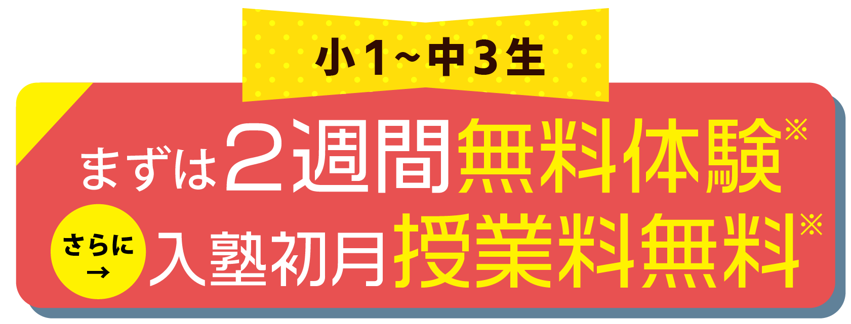 2週間無料体験 さらに入塾初月授業料無料※